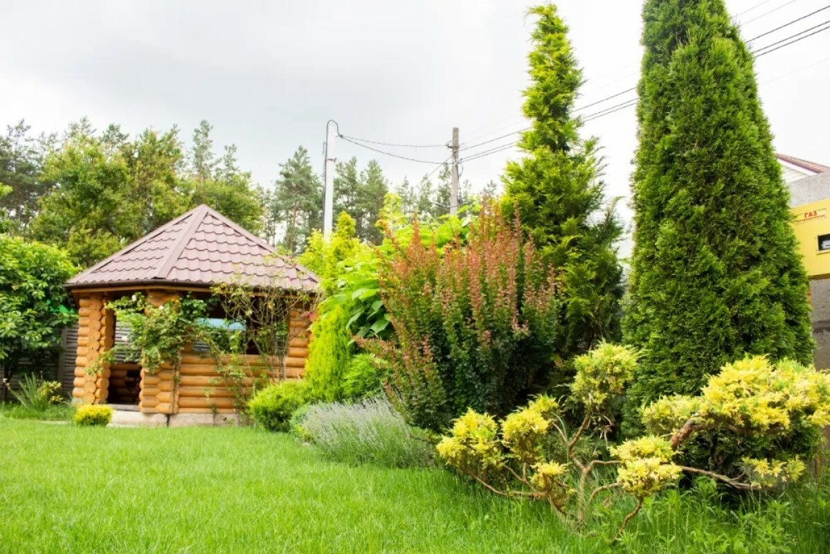 https://ivanovo.tgv-stroy.ru/storage/app/uploads/public/637/ef4/fb3/637ef4fb3605f391429275.png